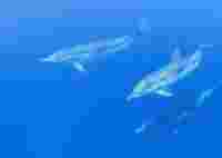 Saloniki, Nea Moudania, Porto Koufo, Ouranoupoli, Kavala, Thasos, Samothraki, Limnos,  Lesvos, Chios