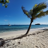 Antyle Małe, Morze Karaibskie: Martynika - St.Vincent - St.Lucia - Tobago Cays - Martynika