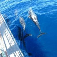 Gran Canaria - Morro Jable (Fuerteventura) - Coralejo -Marina Rubicon (Lanzarote) - Gran Canaria<br />