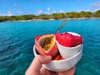 Program rejsu: Bonaire - Curacao - Aruba - Santa Marta - Barranquilla - Kartagena - Corales del Rosario - Rosario and San Barnardo Corals - Wyspy San Blas - Carti Tupile