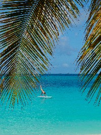 Martynika – St.Vincent – Union Island – Bequia – Tobago Cays – Petit Martinique – St. Lucia – Martynika
