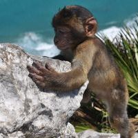 Oddech Oceanu - rejs stażowy na pływach