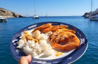 GRECJA - Morze Egejskie Sugerowane trasy: <br />1. Kos, Pserimos, Kalimnos, Leros, Lipsi, Arki, Patmos, Kos - po drodze mamy jeszcze kilka małych wysepek. <br />2. Kos, Nisyros, Tilos, Halki, Alimia, Symi, Kos