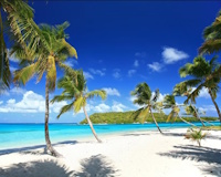 Program rejsu: Wyspy San Blas (Carti Tupile) - Park Narodowy Sun Blas - Jamaika Port Esquivel - Goat Island - Port More - Kingston