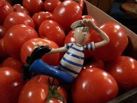 Świnoujście - Wyspa Bornholm - 90 Mm<br />Wyspa Bornholm - Christiansø - 15 Mm<br />Christiansø - Hanö - 45 Mm<br />Hanö - Karlskrona - 35 Mm<br />Karlskrona - Hel - 150 Mm<br />Hel - Gdynia - 10 Mm